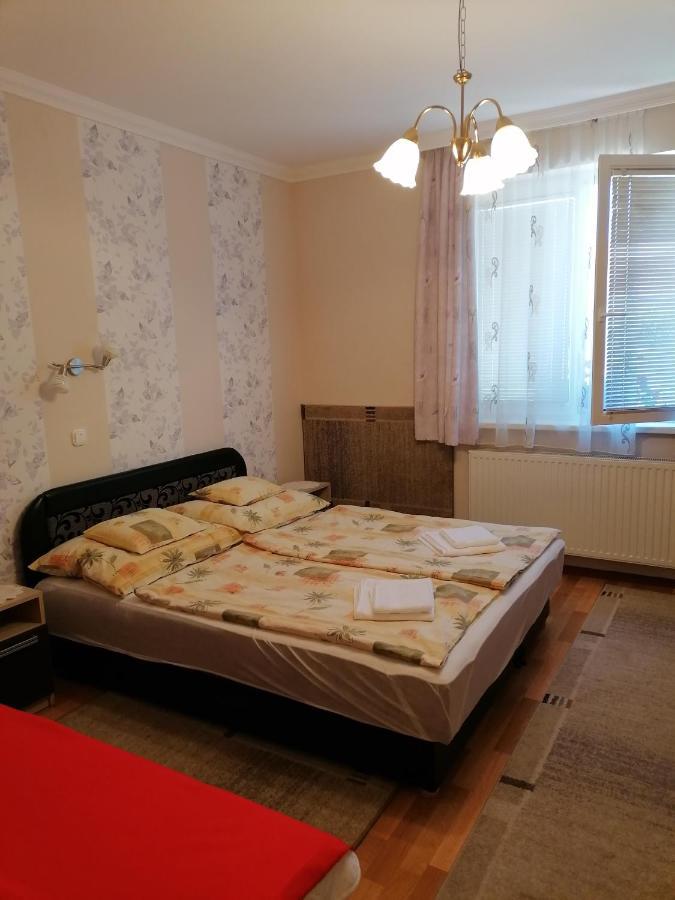 Kaktuszvirag Apartmanhaz ハイデゥソボスロー エクステリア 写真