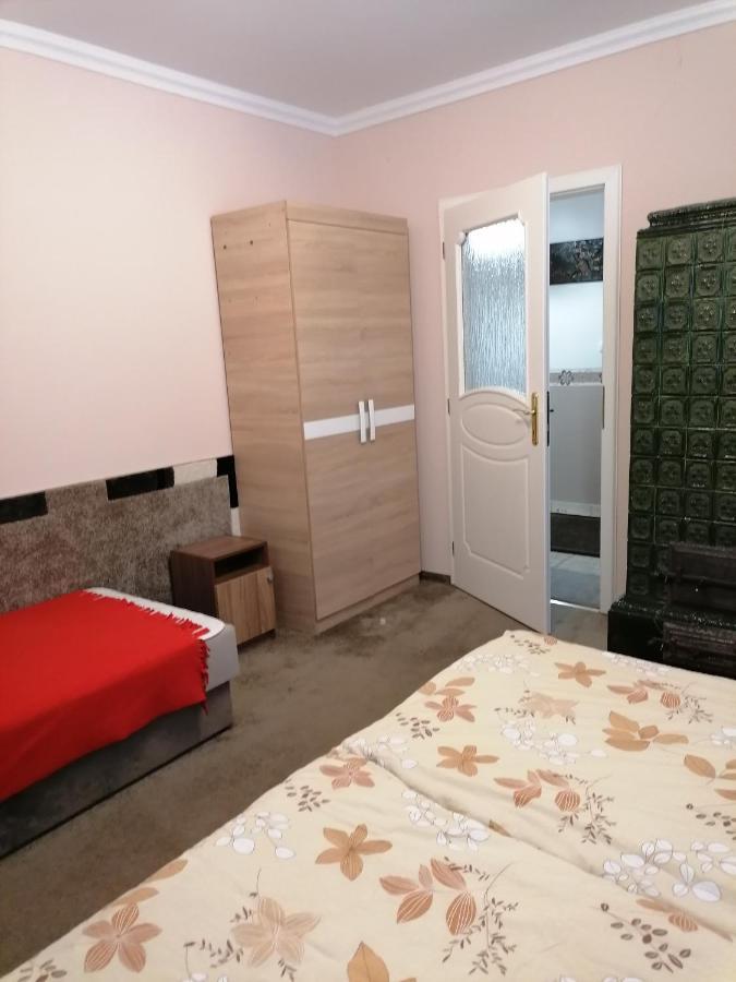 Kaktuszvirag Apartmanhaz ハイデゥソボスロー エクステリア 写真