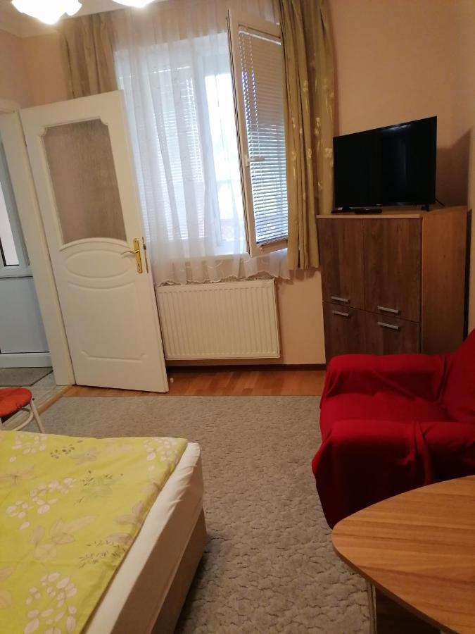 Kaktuszvirag Apartmanhaz ハイデゥソボスロー エクステリア 写真