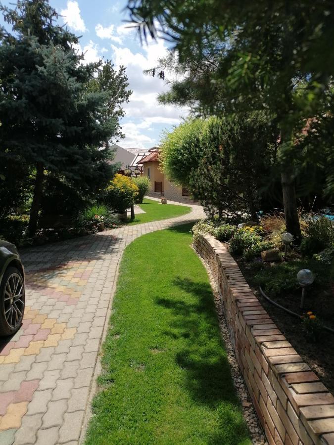 Kaktuszvirag Apartmanhaz ハイデゥソボスロー エクステリア 写真